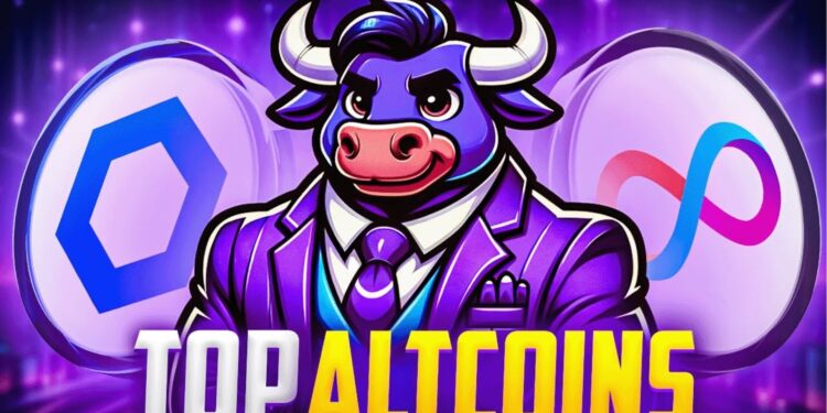 Top Altcoins to Watch in the Upcoming Mega Altcoin Season – ALPH, SMOG, and SPOODY