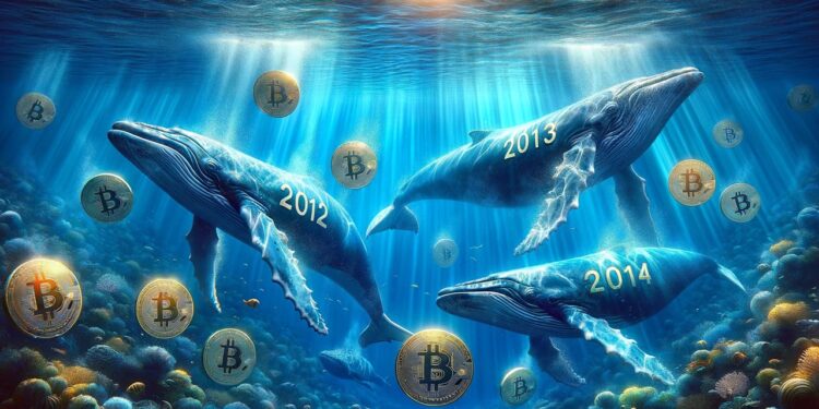 Historic Bitcoin Stashes Mobilize Amid Rising Market Valuations