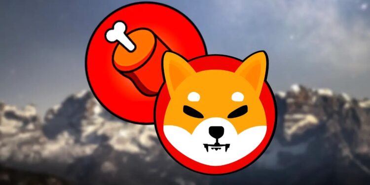 BONE To Binance? Shiba Inu Army Campaigns For Listing