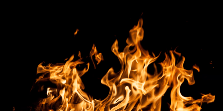 Fetch AI Fetches Fire – 110% Price Surge Ignites All-Time High