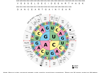 Saving Seeds in DNA: Bitcoin as Information