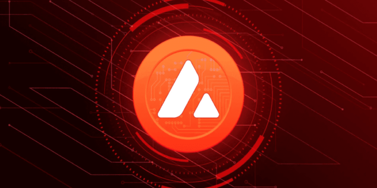 Avalanche In ‘Healthy’ Retreat, Potential Rebound Looms