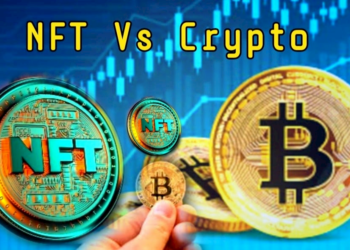 The NFT Market Tumbles As Crypto Market Blossoms – What’s Really Happening?