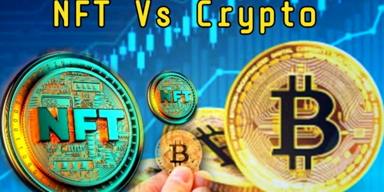 The NFT Market Tumbles As Crypto Market Blossoms – What’s Really Happening?