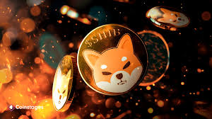 Shiba Inu Whales Are Accumulating SHIB, Do They Know Something You Don’t?