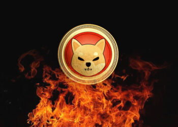 Shiba Inu Team Announces Biggest SHIB Burn Yet, Here’s How Much