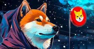 Crypto Expert Predicts Massive Shiba Inu Run As Price Mirrors 2021