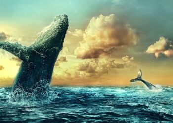 Dogecoin Whale Dumps Substantial Holdings On The Market, Here’s How Much