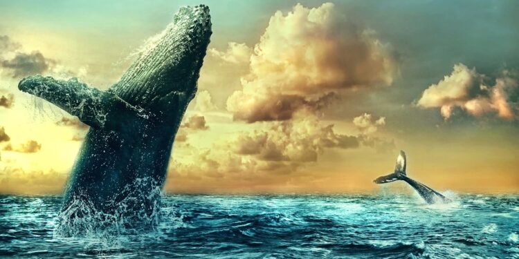 Dogecoin Whale Dumps Substantial Holdings On The Market, Here’s How Much