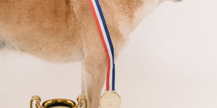 Memecoin Is Europe’s 2nd Most Beloved Crypto