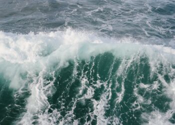 Speculation Rises After 40% Weekly Surge