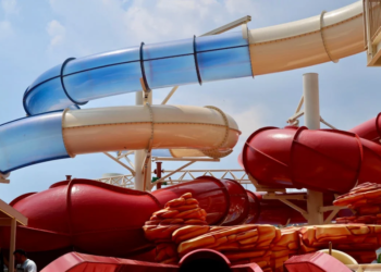 Top Trader Provides Expert Analysis