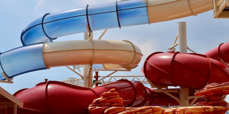 Top Trader Provides Expert Analysis