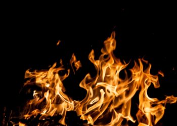 Fetch AI Fetches Fire – 110% Price Surge Ignites All-Time High