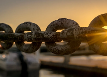 Crypto Whales Bet Big On LINK