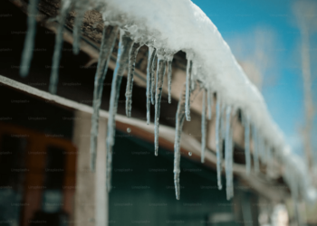 Bitcoin Hodlers Eye Long Term: $520 Million BTC Moved