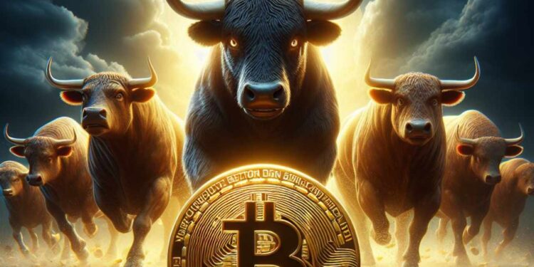 Bitwise Sees ‘Raging’ Bitcoin Bull Market — Expects April Halving to Be ‘the Most Impactful We’ve Seen”