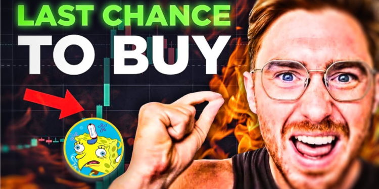 Conor Kenny Video Update on Hottest Meme Coin Launching Soon
