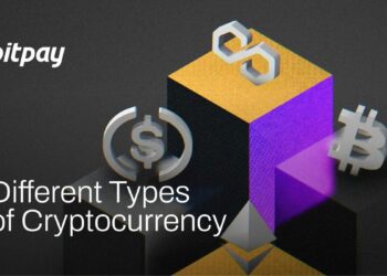 What Are the Different Types of Cryptocurrencies? A Beginners Guide
