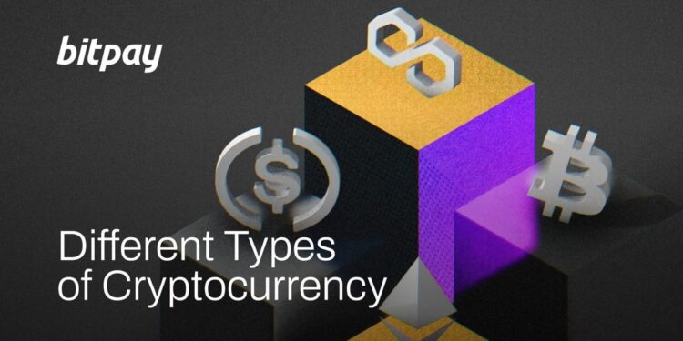 What Are the Different Types of Cryptocurrencies? A Beginners Guide