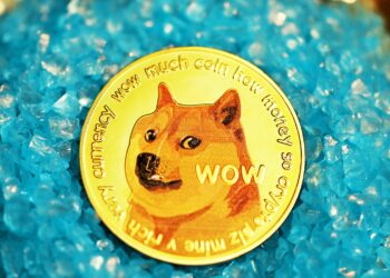 Big Money Eyes Dogecoin: Whale Activity Explodes 600%