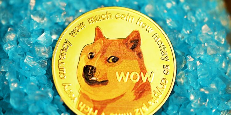 Big Money Eyes Dogecoin: Whale Activity Explodes 600%