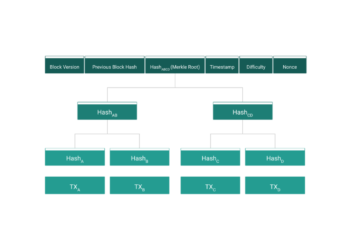 Bitcoin: The Tree of Bytes