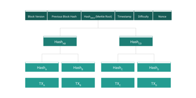 Bitcoin: The Tree of Bytes