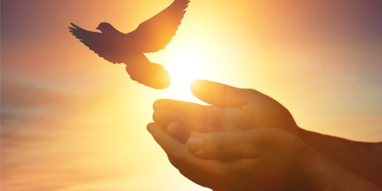 LINK Price Regains Strength, Why Chainlink Could Surge Over 10%