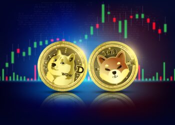 Shiba Inu Adoption Explodes 20x, Can SHIB Dethrone DOGE?