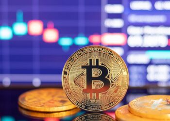 Crypto Analyst Says Bitcoin Will Continue To Rise, ‘2024 Is A Bullish Year’