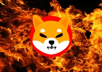 Shiba Inu Burn Rate Crashes 99% After 18,000% Spike, What Happened?