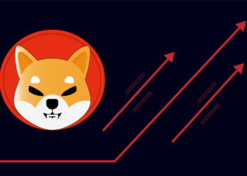 Shiba Inu To Rally 100% To $0.000062? Analyst Reveals Why This Is Possible