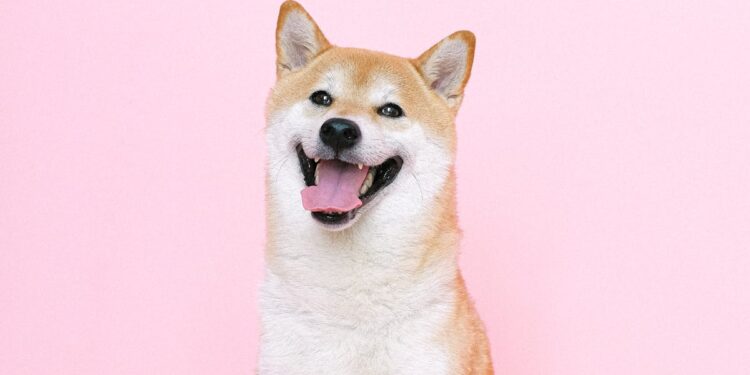 Shiba Inu Large Transactions Spike Over 1,000%