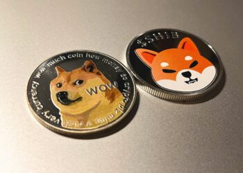Why Did Dogecoin, Shiba Inu, And Other Meme Coins Crash?