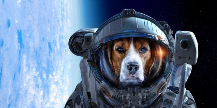 Crypto Analyst Predicts Where Dogecoin Price Will Be On DOGE Day