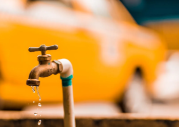 Spot ETF Frenzy Cools Down