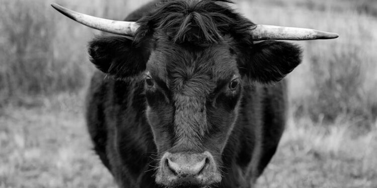 Ethereum Whales Signal Bullish Run With $40 Million Bet