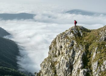 Will He Be Right? Ripple CEO Predicts Crypto Market to Hit $5 Trillion