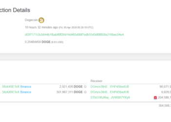 Dogecoin Whale Takes $52.3 Million In DOGE Off Binance, Sign Of Buying?