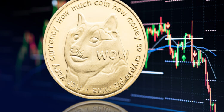 Dogecoin Rally Intensifies: Eyes Set On Historic New Highs