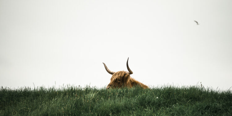 Waiting For The Bitcoin Bull Run To Resume? Here’s The Indicator To Watch For