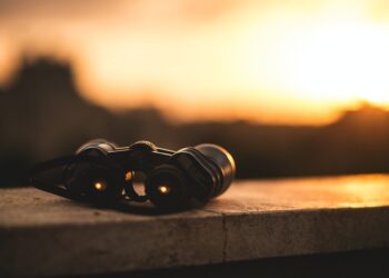 Top 5 Coins Set To Dominate This Week