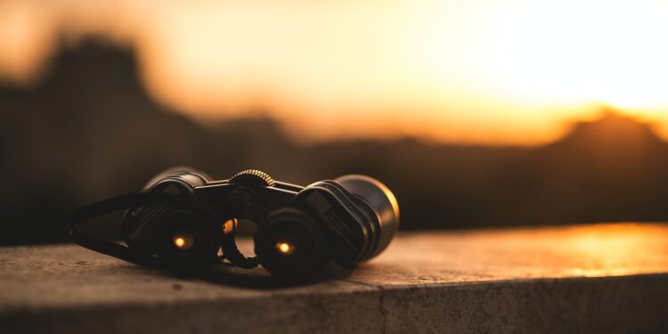 Top 5 Coins Set To Dominate This Week