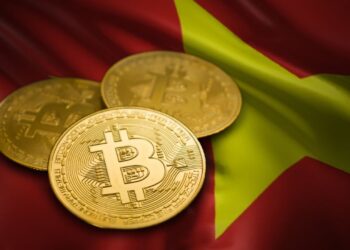 Cryptocurrencies Not Banned, Vietnam Requires Legal Framework for Regulation — Govt Official