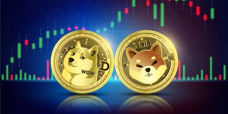 Dogecoin & Co. See Massive Influx Of Traders