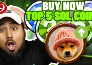 Top 5 Solana Meme Coins Set to Surge – $BONK, $BOME, $SLERF, $WIF, and $SLOTH