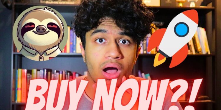 Could Sloth-Themed Meme Coins Follow the Success of Frog, Cat, and Dog Coins?