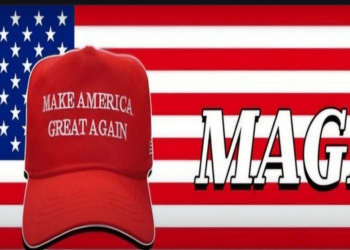 Top Trending Coins on GeckoTerminal Today – LayerZero, iSei, TRUMPS Hat