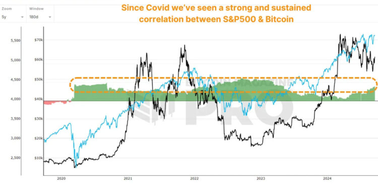 How Bitcoin Will React After The U.S. Election